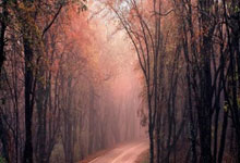 谈球吧：22／23賽季歐冠第1輪薩格勒布迪納摩1-0切爾西 中超舊將奧爾西奇破門建功.