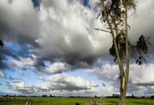 新民體育評泰山0-3申花：兩隊對陣，斯盧茨基智勝！.